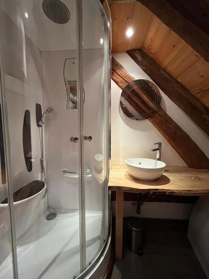 The Loft 3 Minutes From Alpe Dhuez Grand Domaine Via Oz En Oisans Apartment Oz